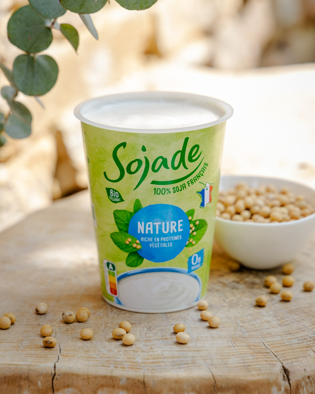 the best brands of plant-based natural yoghurt