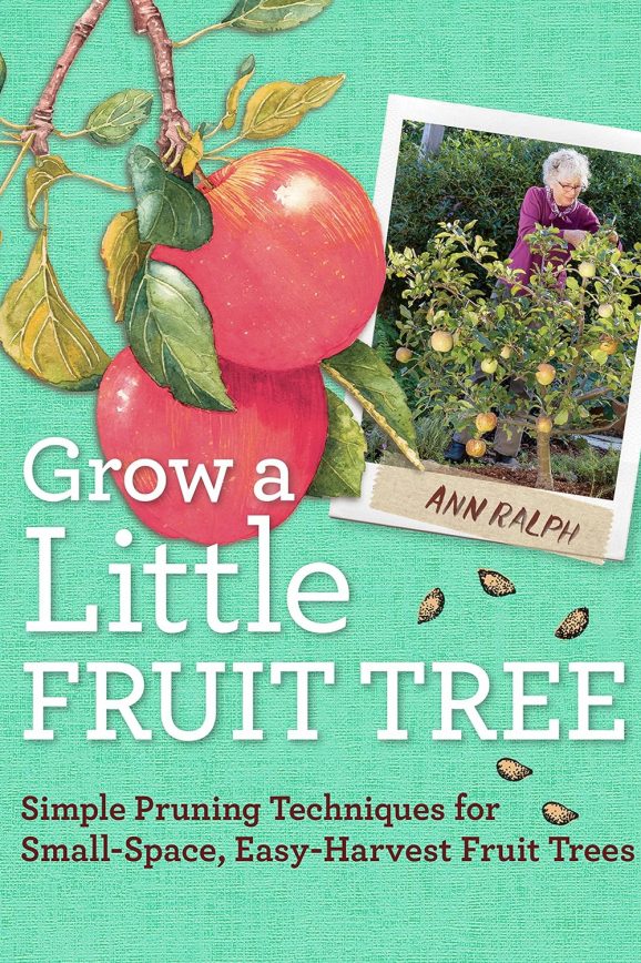 grow a little fruit tree