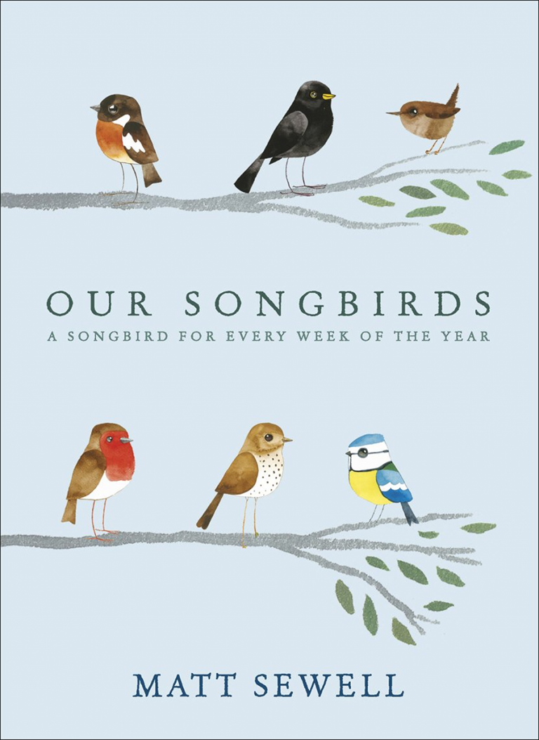 our songbirds