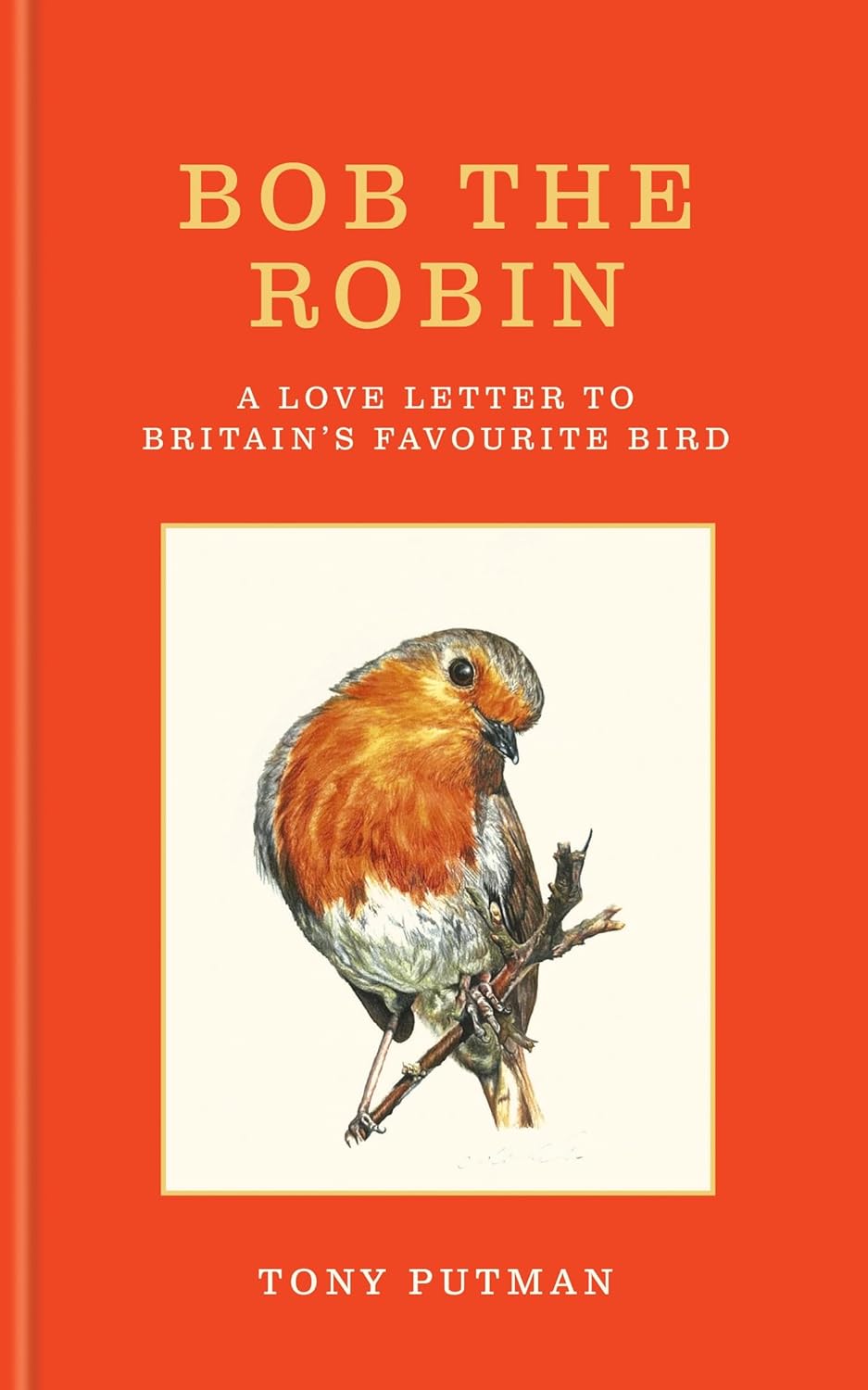 how well do you know England’s native birds?