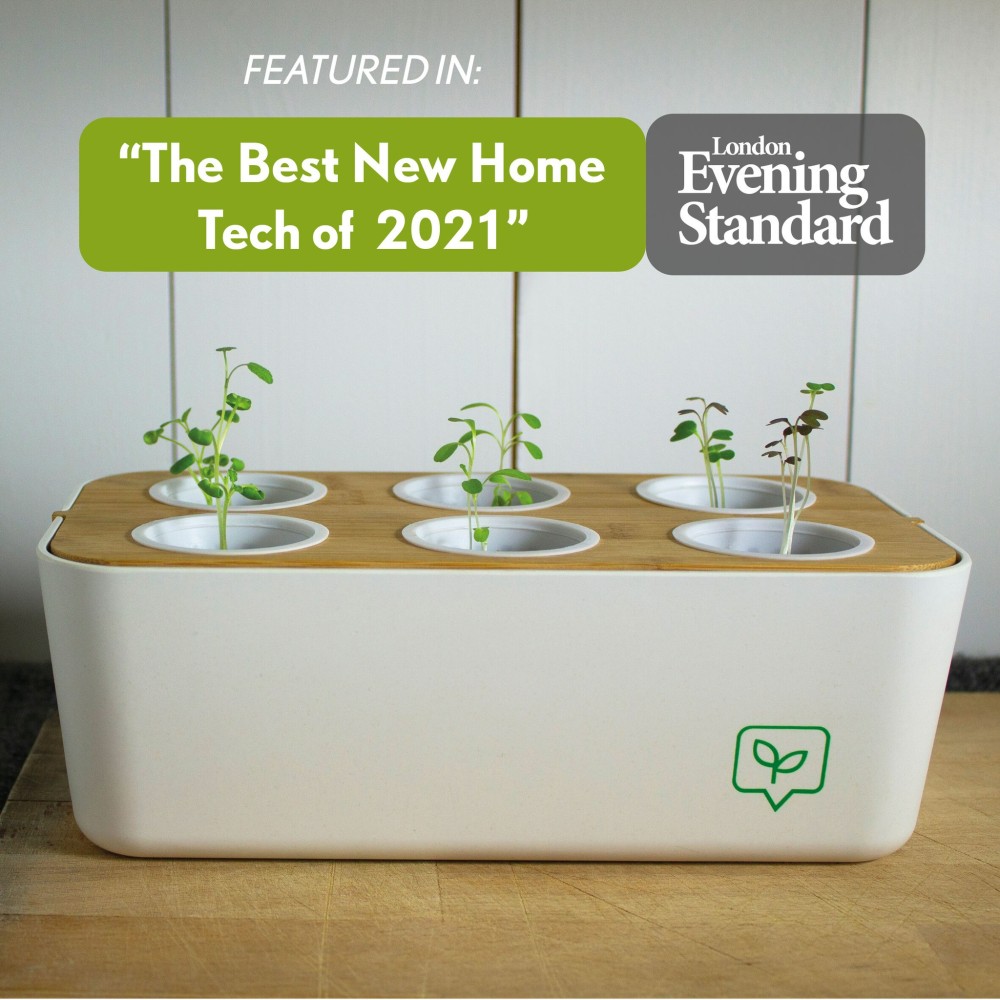 grow your own (organic) indoor plants
