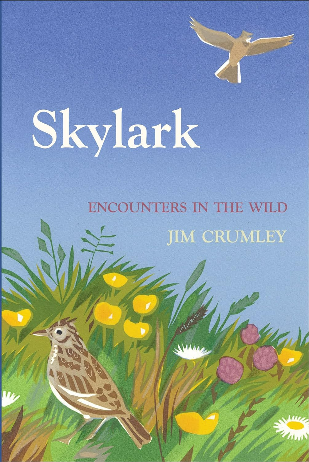 encounters in the wild with singing skylarks