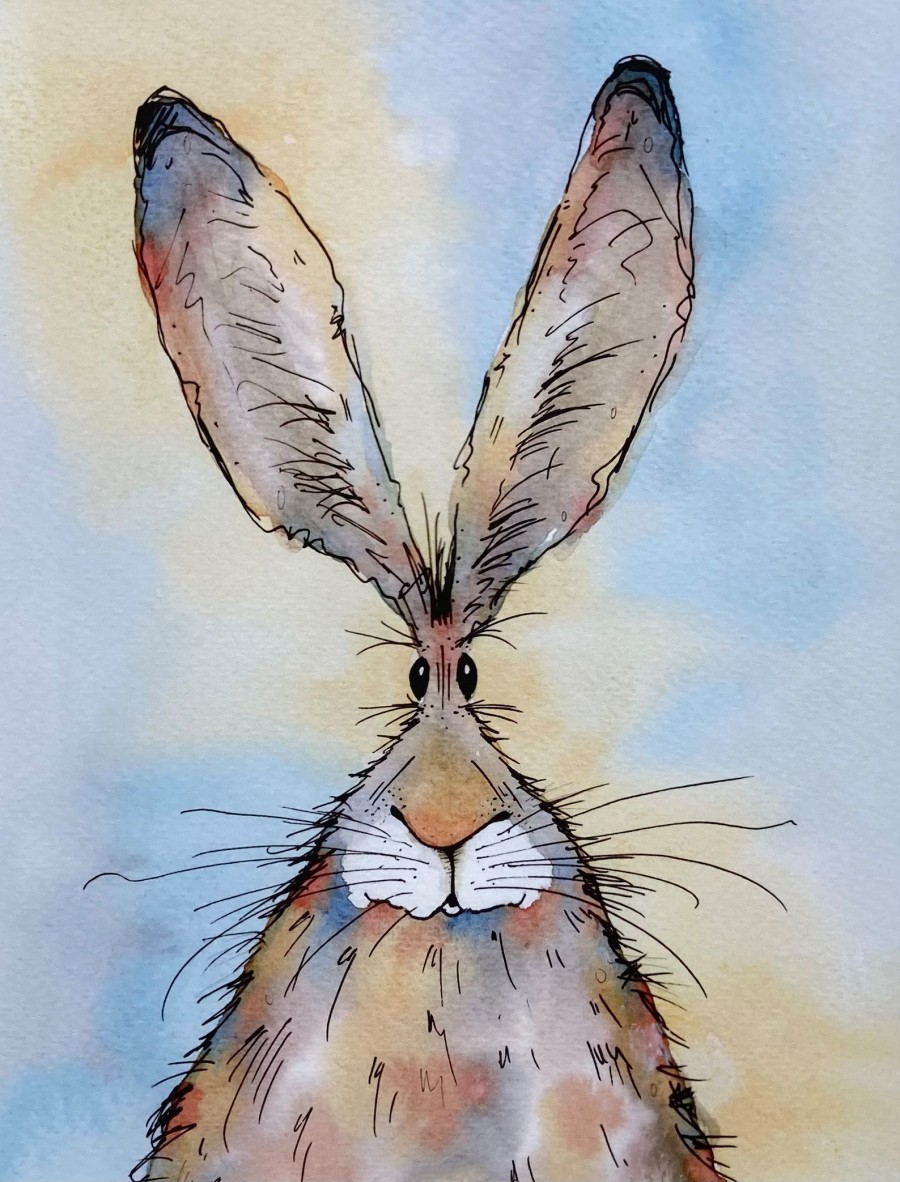 Fergal hare Hares & Herdwicks