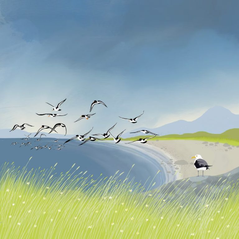 Oyster Bay Caroline Smith