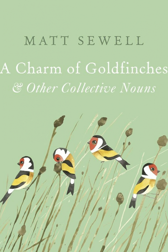 a charm of goldfinches