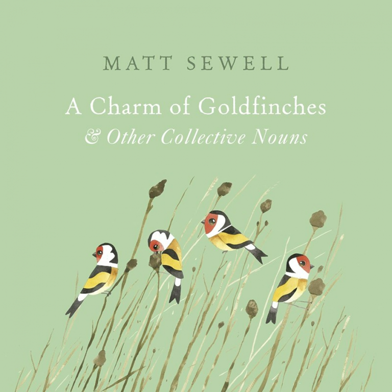 a charm of goldfinches