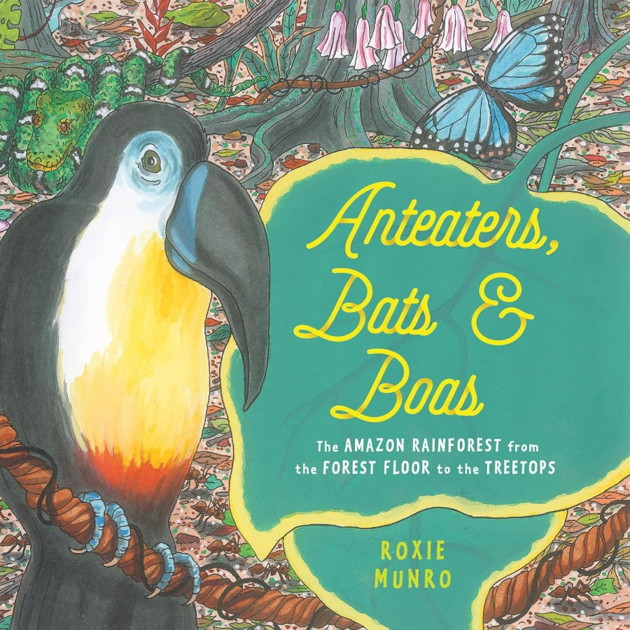 anteaters bats and boas