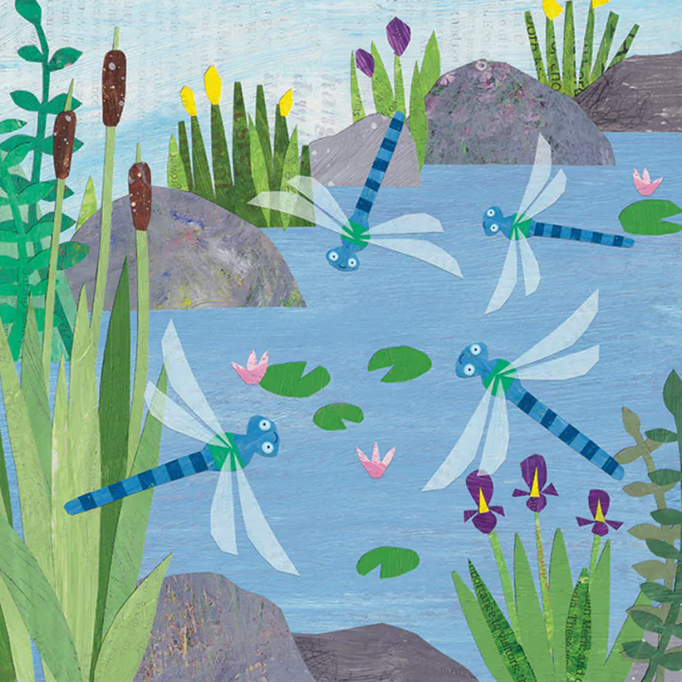 dragonflies Christina Carpenter