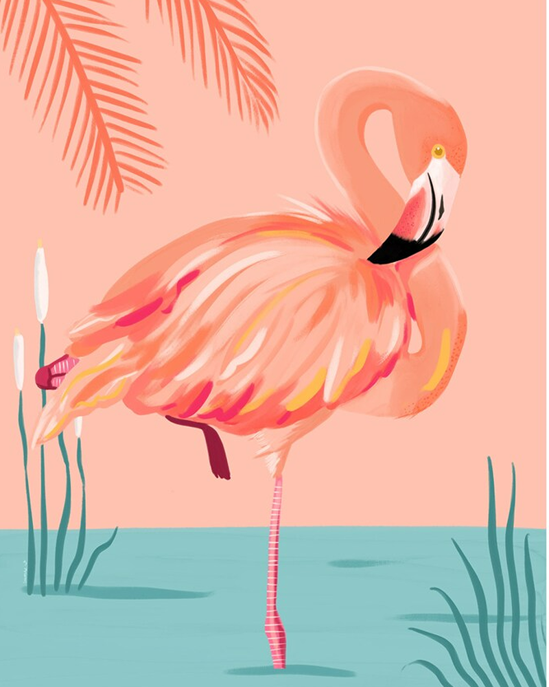 flamingo Emma Whitelaw