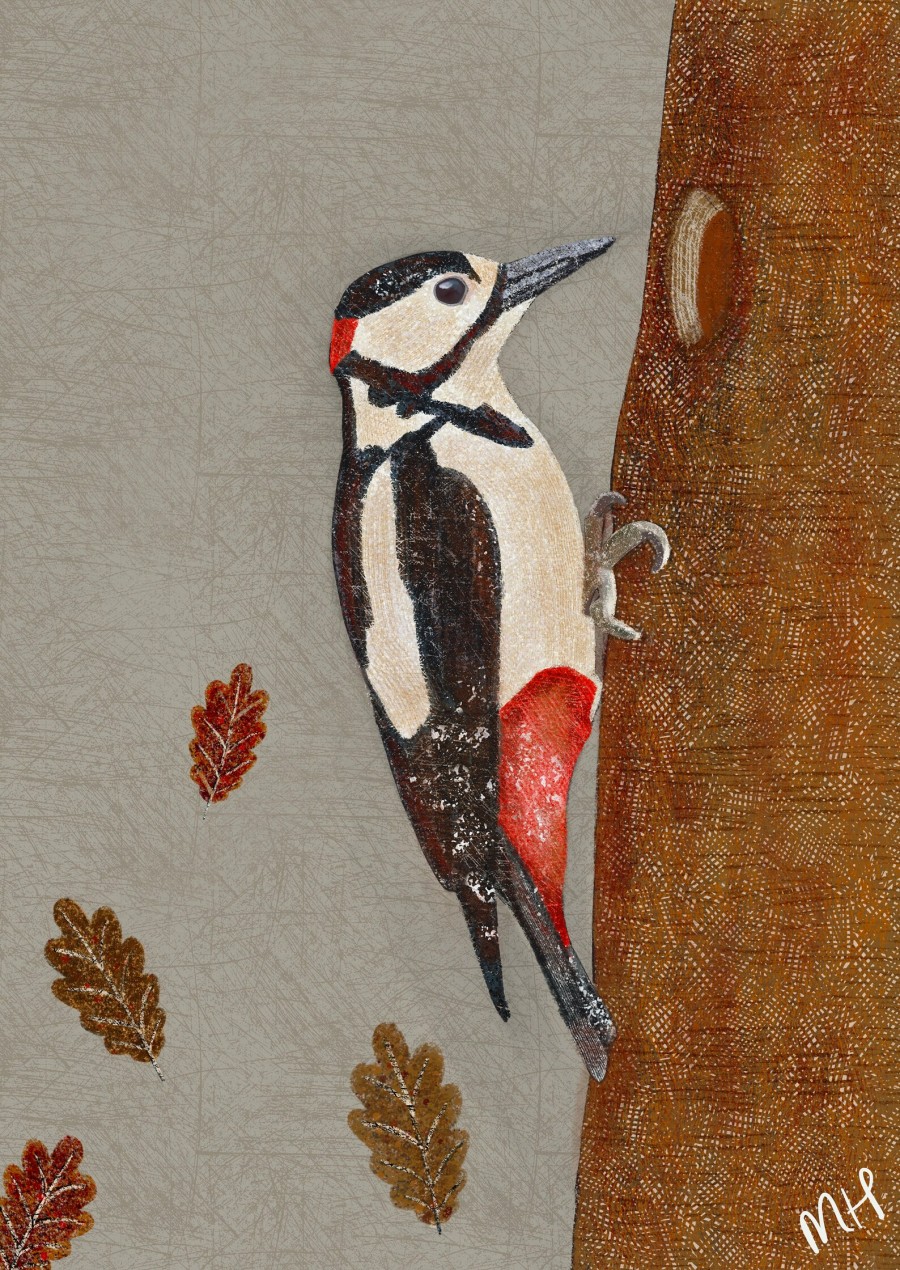 great spotted woodpecker MHeath