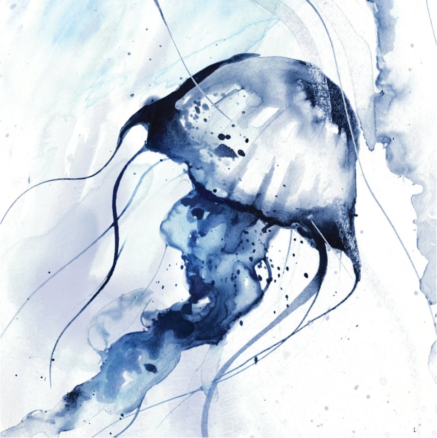 jellyfish Leona Beth