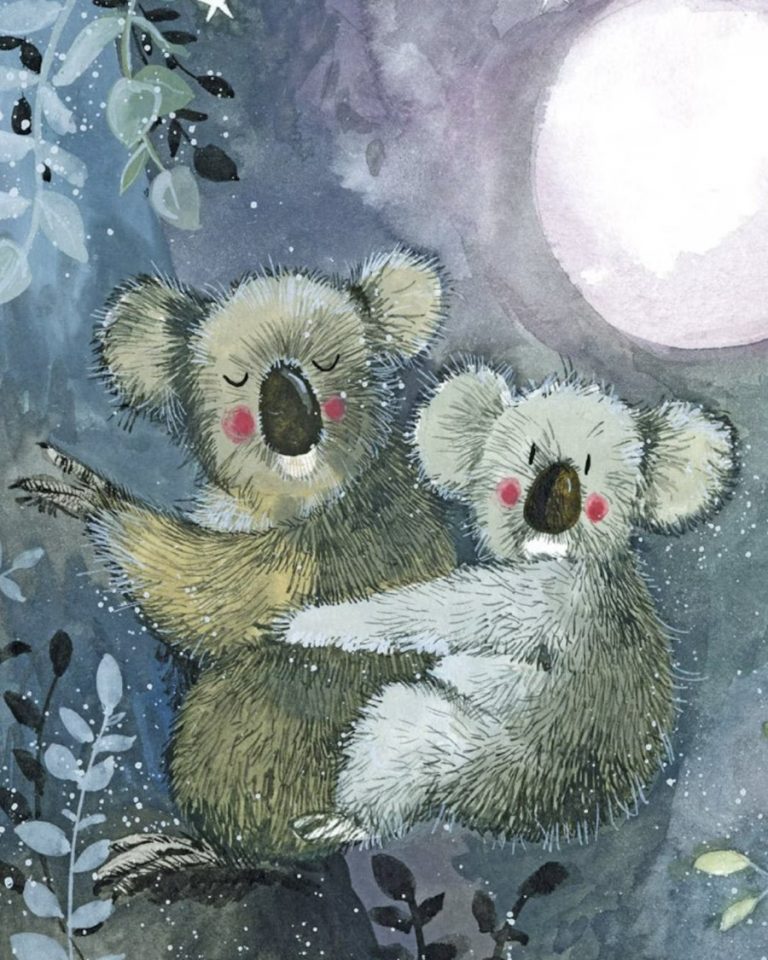 koalas Alex Clark