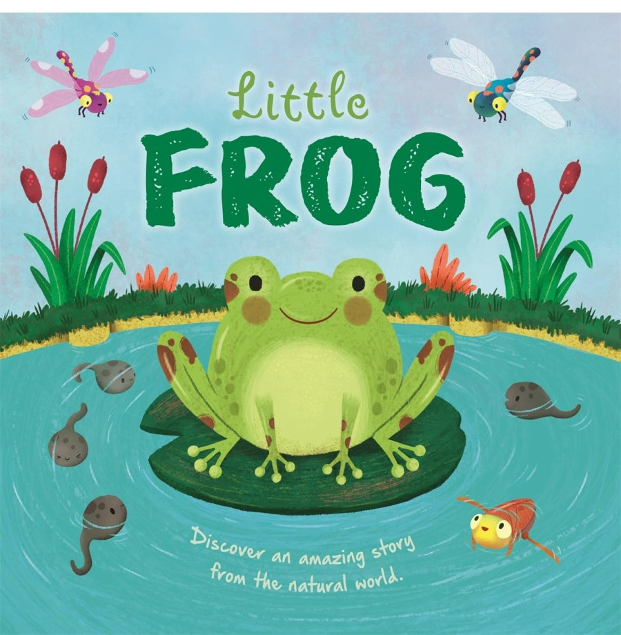 how we can help frogs, toads & newts