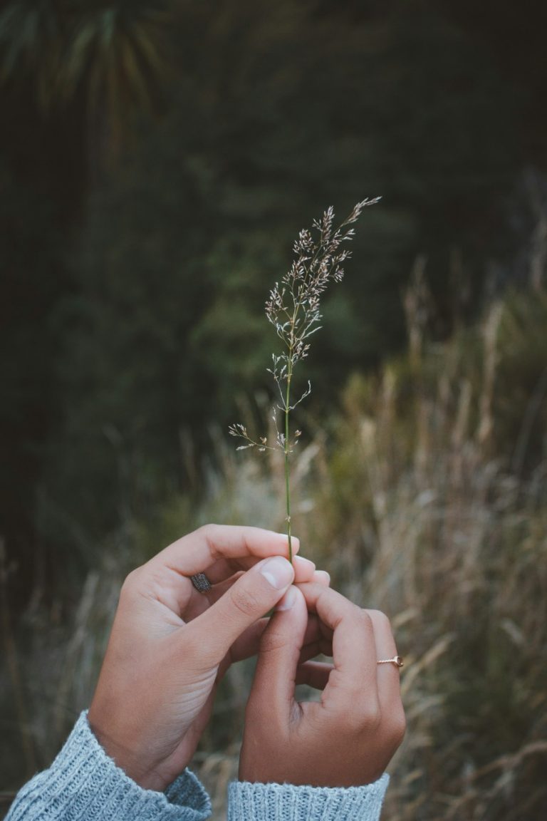 natural hands Jordan Heath
