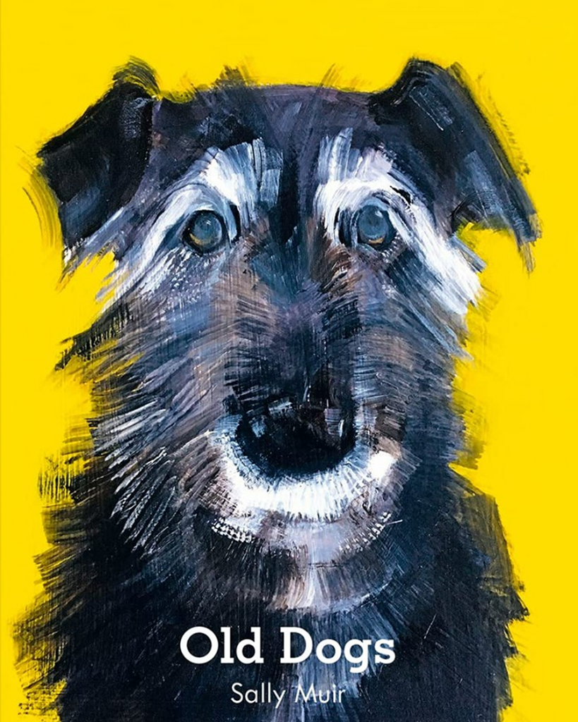 old dogs Sally Muir