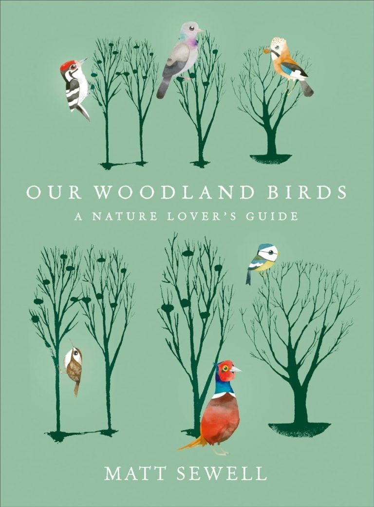 our woodland birds