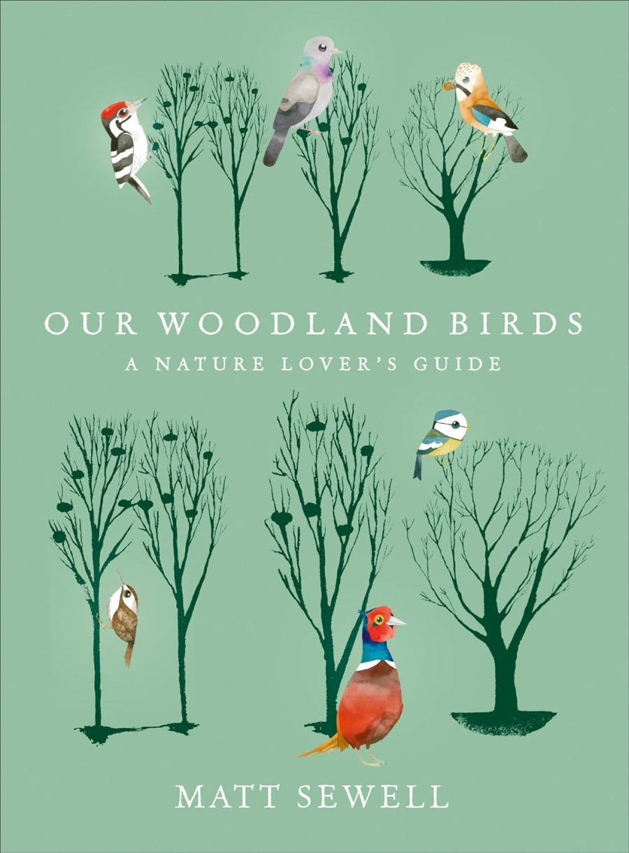 our woodland birds