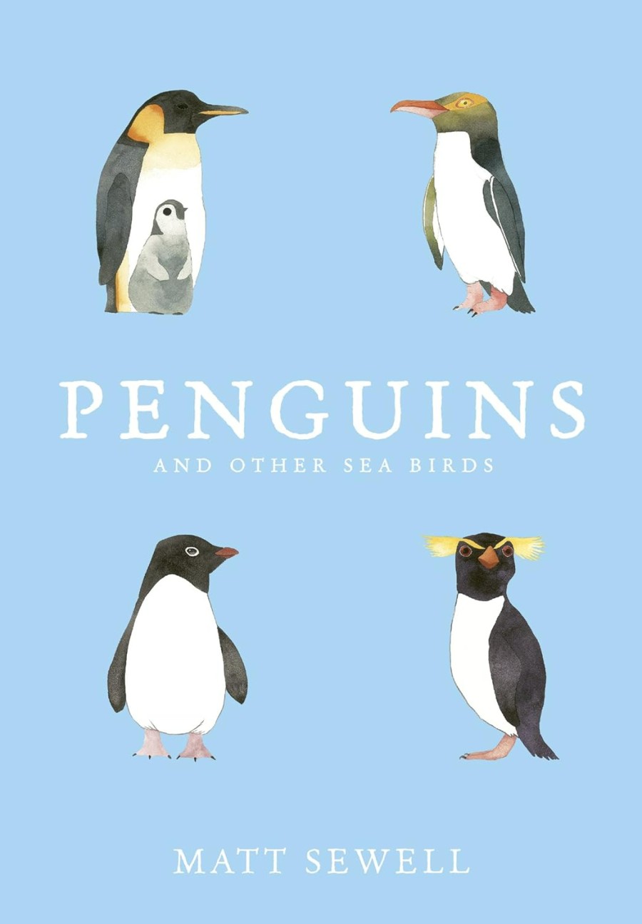 penguins and other seabirds
