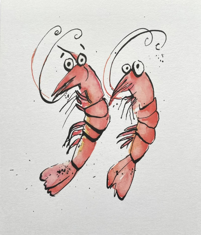 prawn buddies the artful splodger