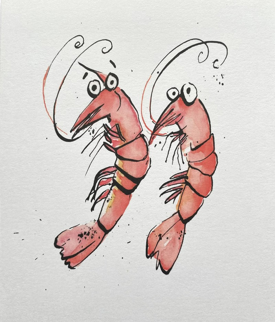 prawn buddies the artful splodger