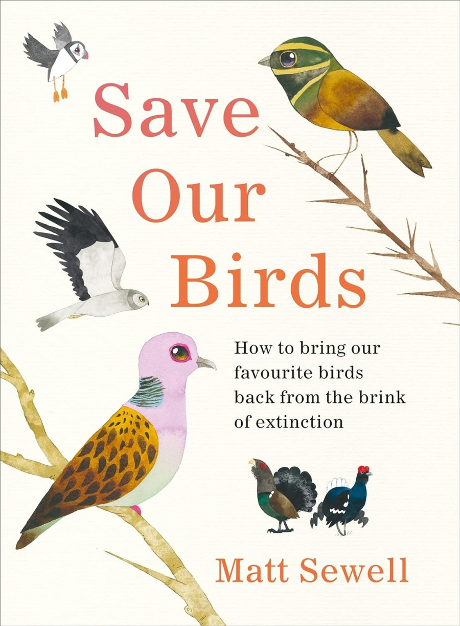 fun books to teach children (and us!) about birds