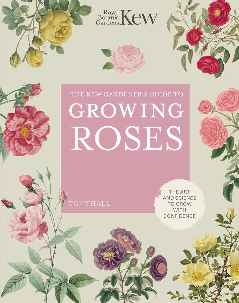 The Kew Gardener’s guide to growing roses