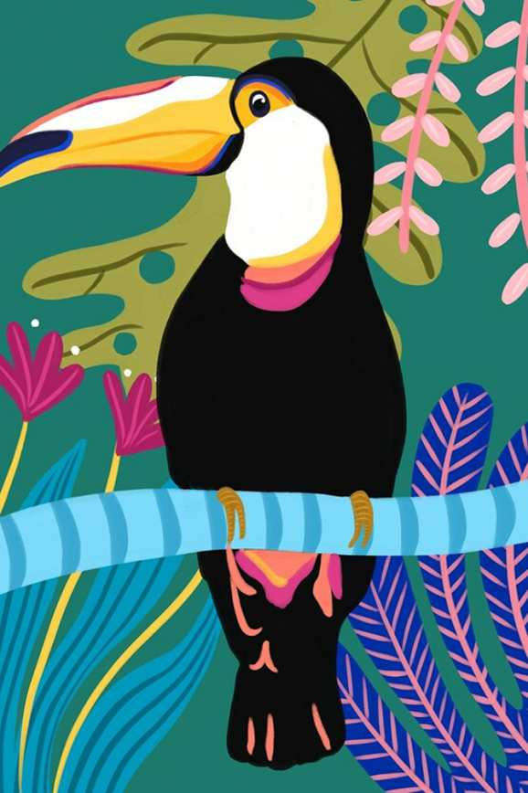 tropical toucan Emma Whitelaw