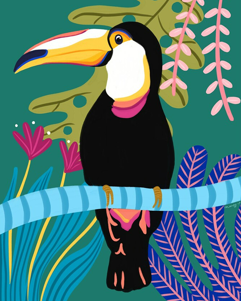 tropical toucan Emma Whitelaw