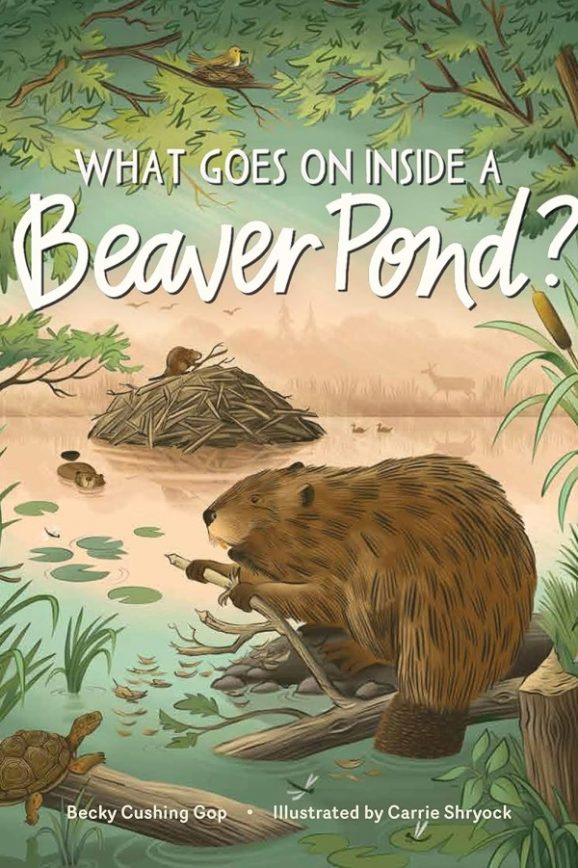 what goes inside a beaver pond?