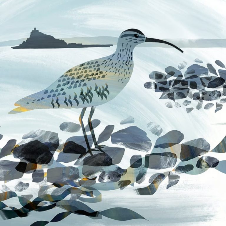 whimbrel Gill Wild