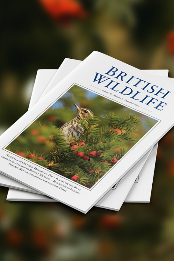 British wildlife magazine