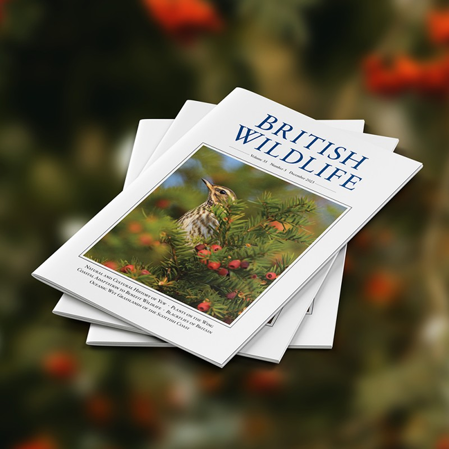 British wildlife magazine