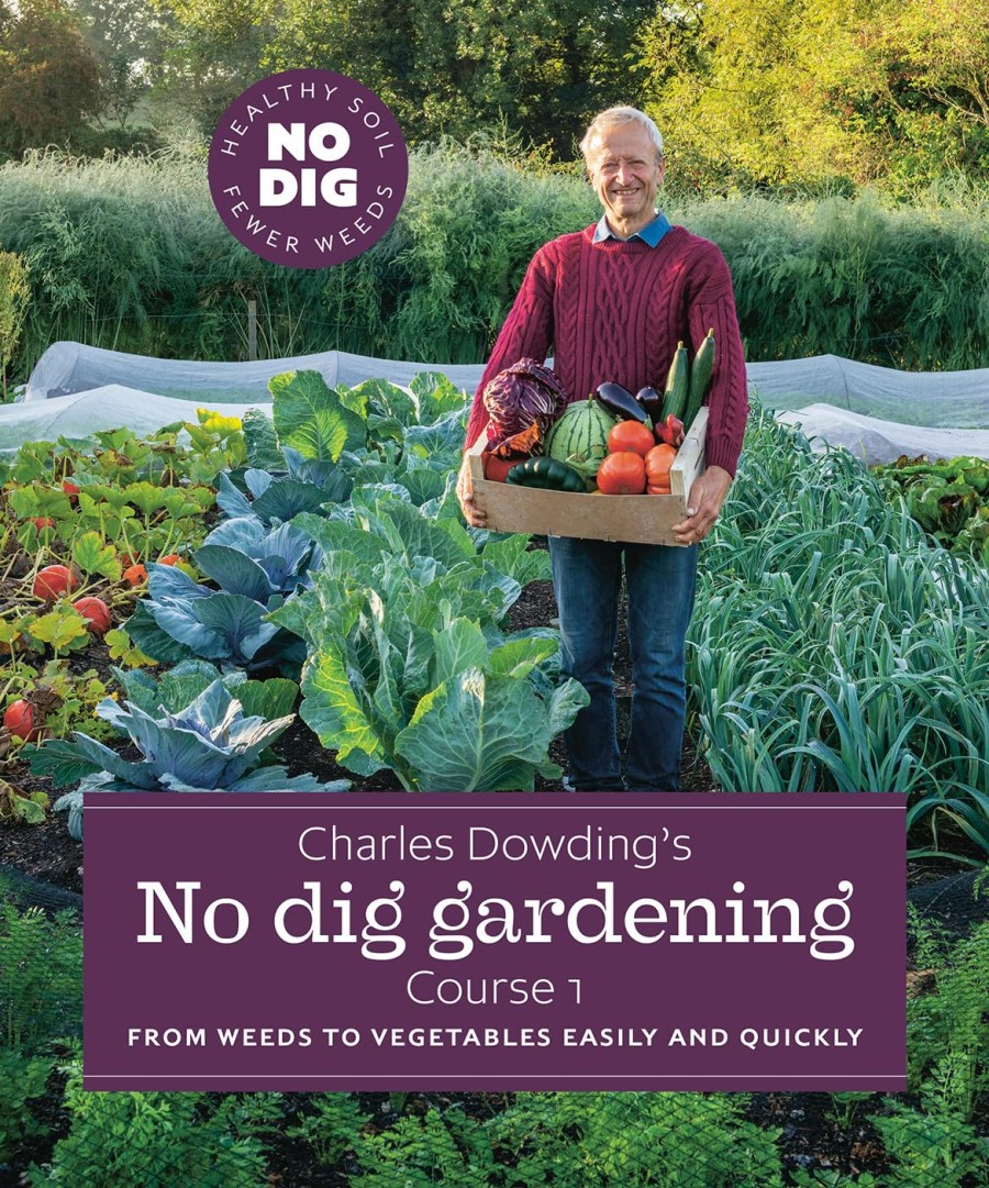 simple no-dig beds to grow vegetables