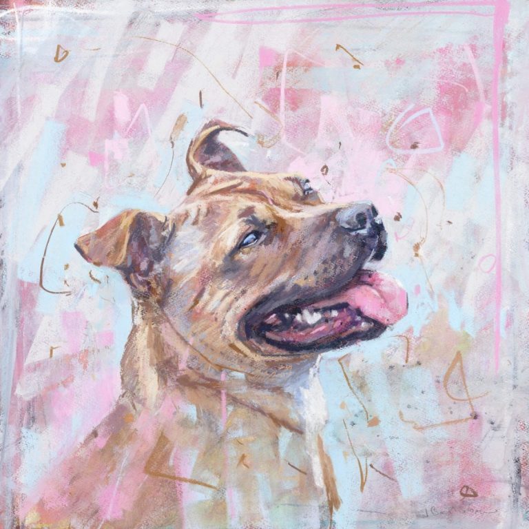 Staffordshire bull terrier James Bartholomew