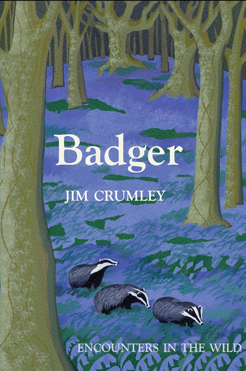 badger encounter in the wild 