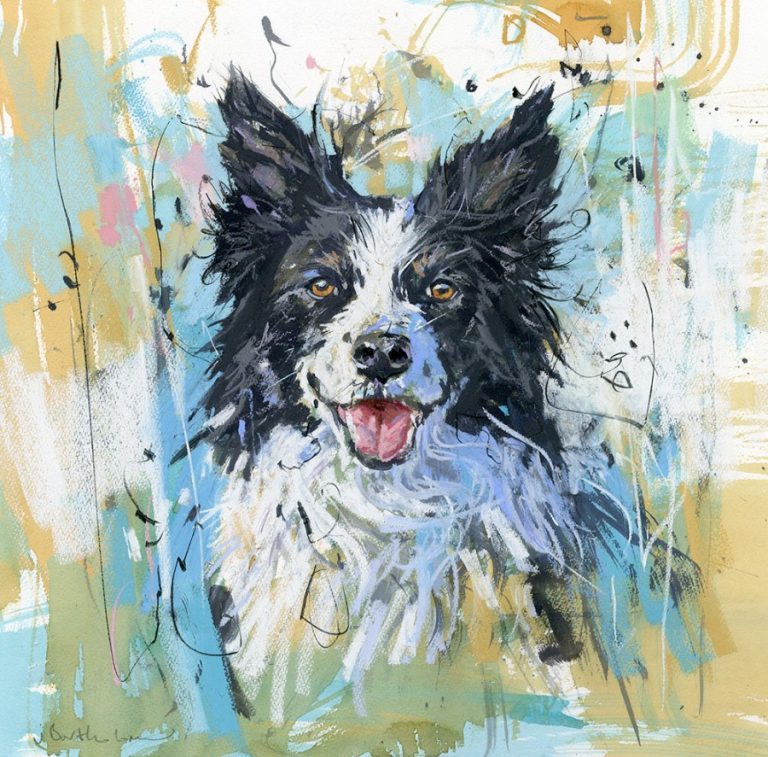 border collie James Bartholomew