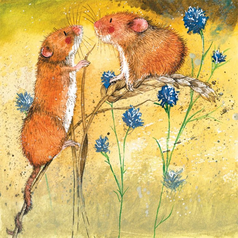 harvest mice Alex Clark
