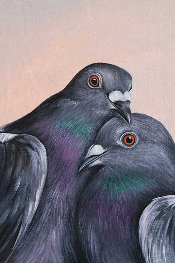 pigeons Chantal Kaufmann