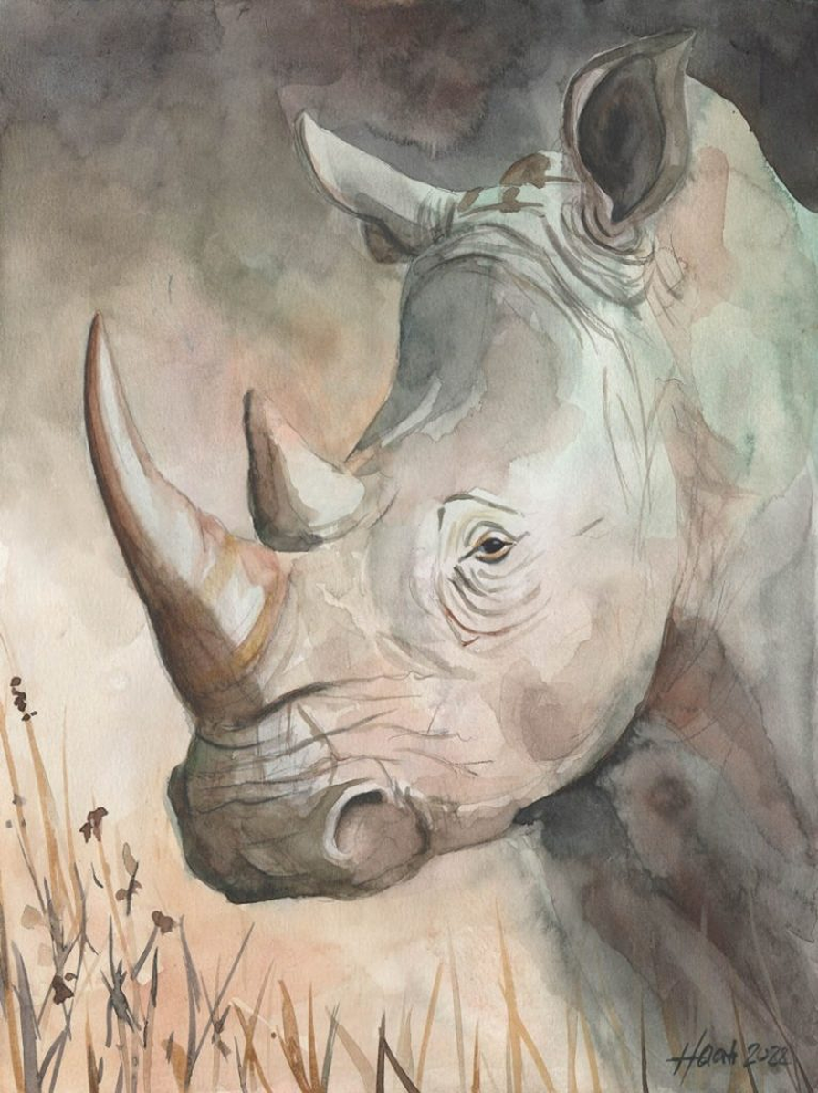 how to help save critically endangered rhinos
