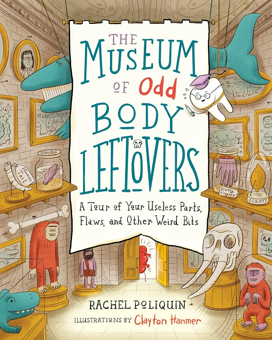 the museum of odd body leftovers