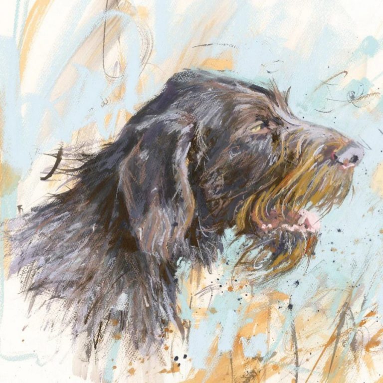 wirehaired German pointer James Bartholomew