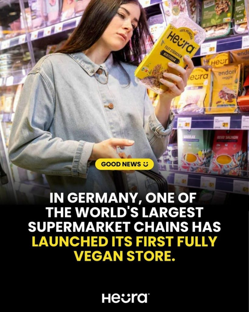 vegan supermarket Germany