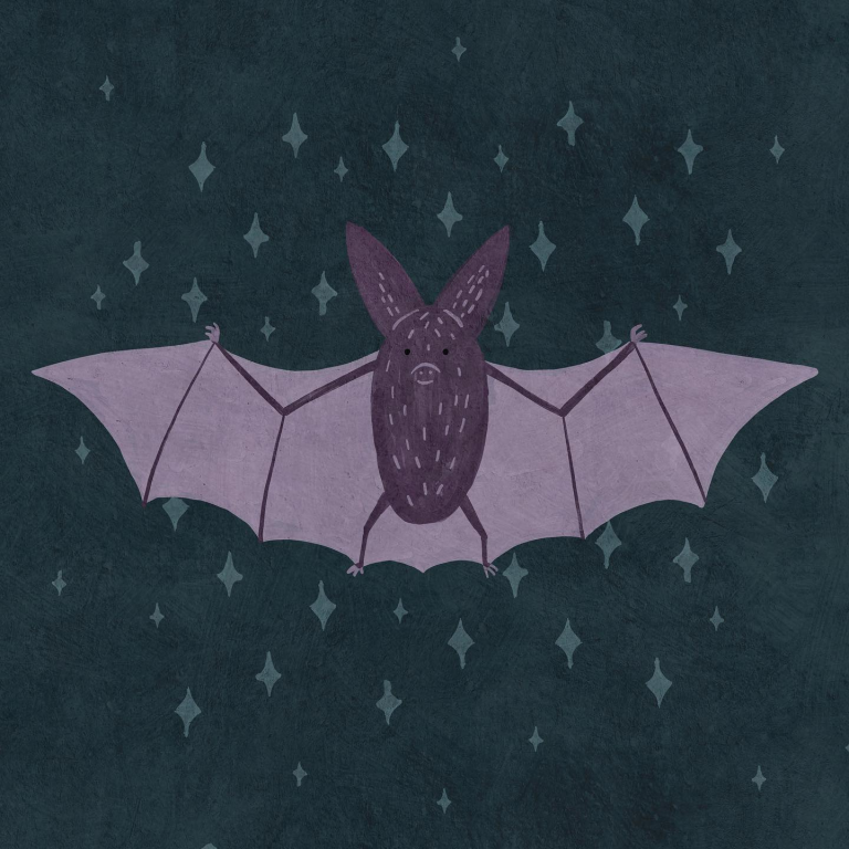 bat Betsy Siber