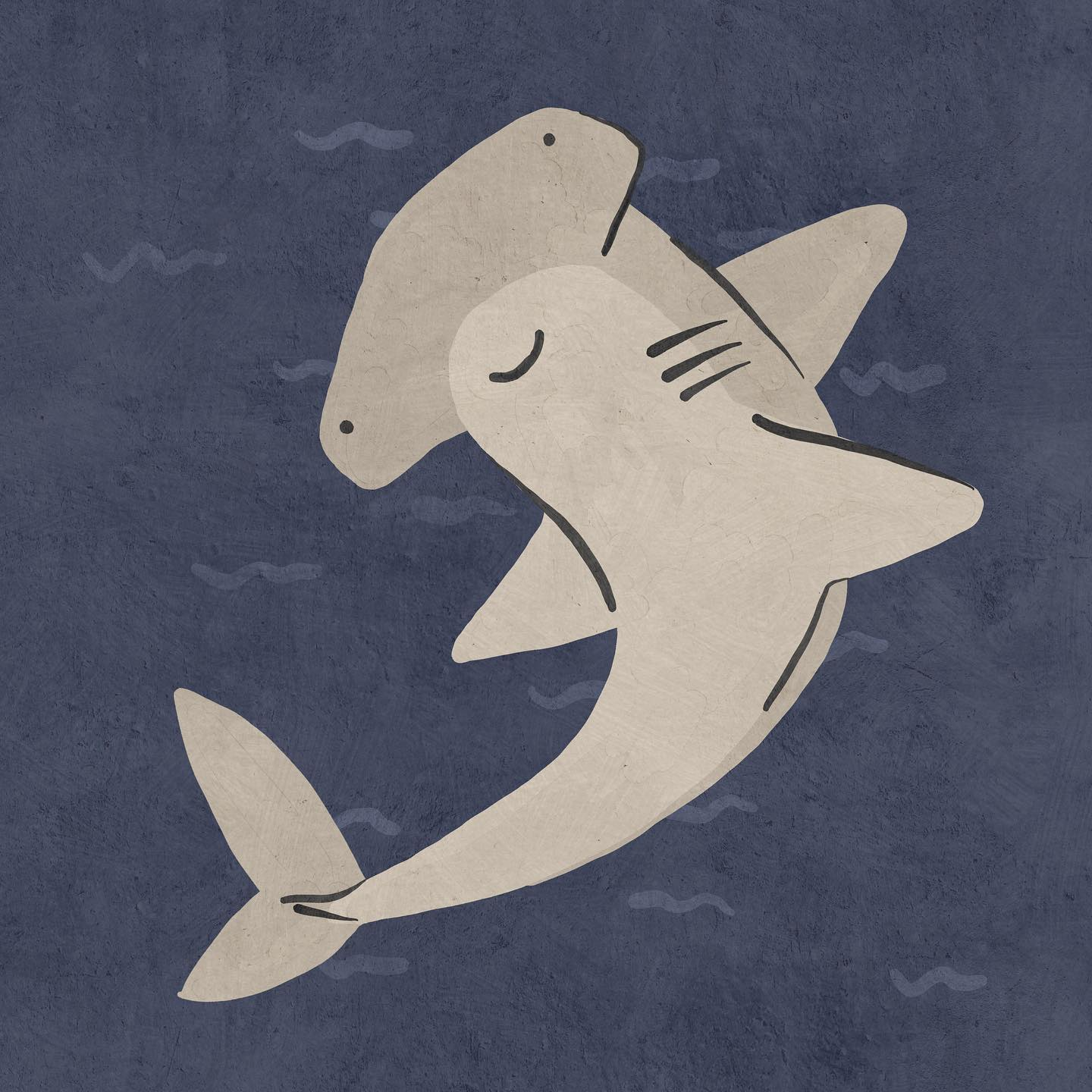 hammerhead shark Betsy Siber