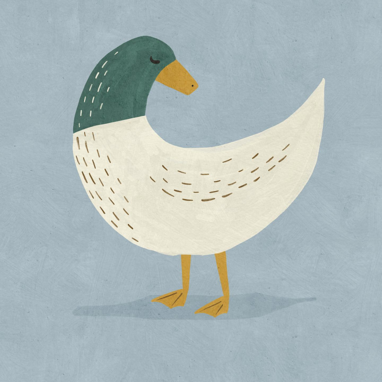 mallard duck Betsy Siber
