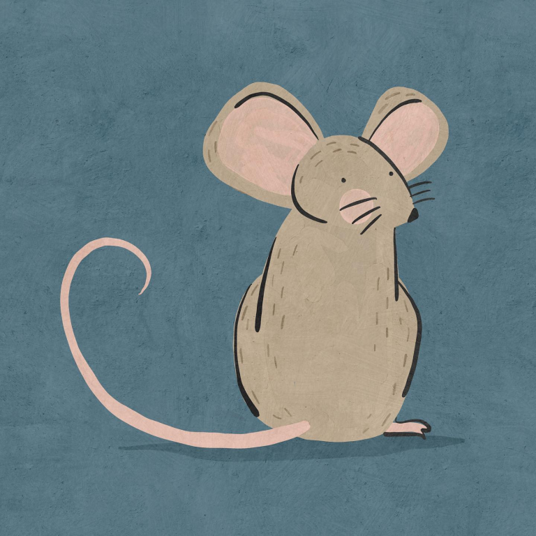mouse Betsy Siber