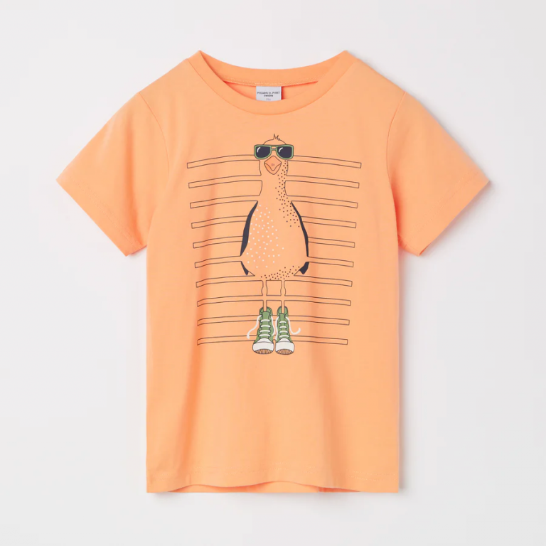 organic cotton t-shirt