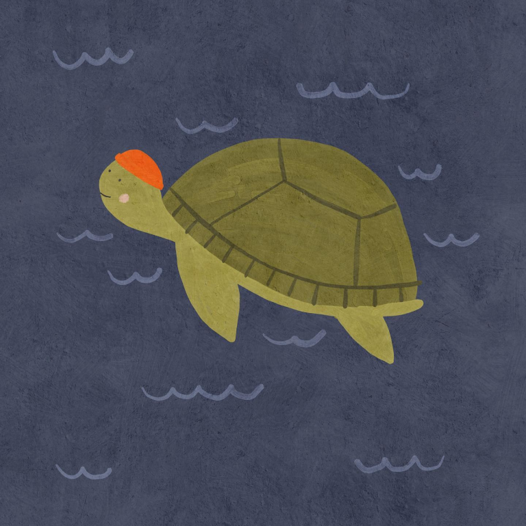 sea turtle Betsy Siber