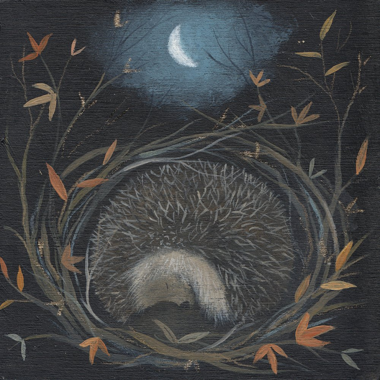 sleeping hedgehog Julia Crossland