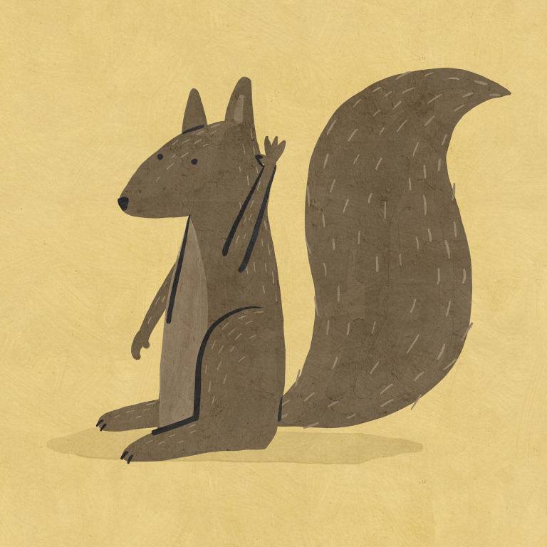 friendly squirrel Betsy Siber